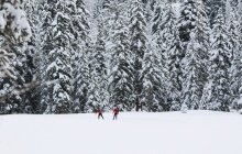 Journée Ski nordique d'orientation