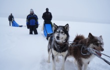 Raid en traîneau à chiens sur le lac gelé du Taureau